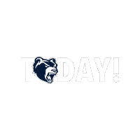 Today Sticker by Hannover Grizzlies