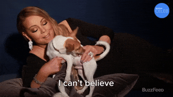 I Can't Believe They're Here