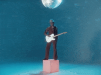 Hummingbird GIF by Mark Diamond