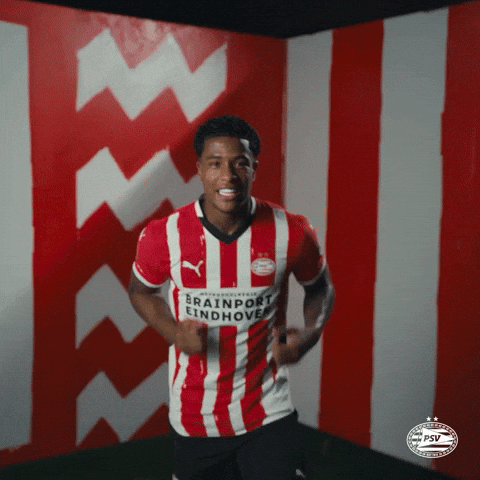 Ryan Flamingo GIF by PSV