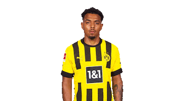 Borussia Dortmund No Sticker by Bundesliga