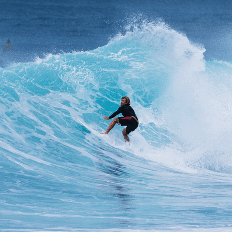 VEIASupplies giphyupload surf surfing hawaii GIF