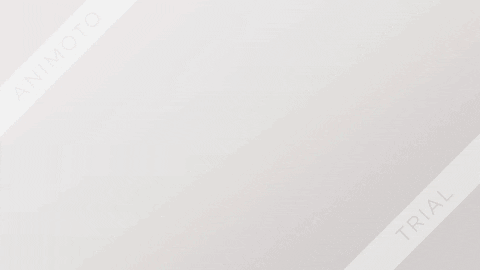 hadishaikh giphyupload GIF