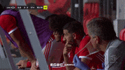Sl Benfica Slbgif GIF by Sport Lisboa e Benfica