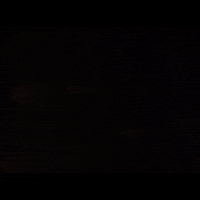 Vikings Tbs GIF by THE BEARD STRUGGLE