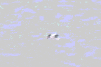 video art vhs GIF by J. Robinson