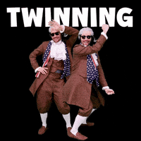 Twins Twinning GIF