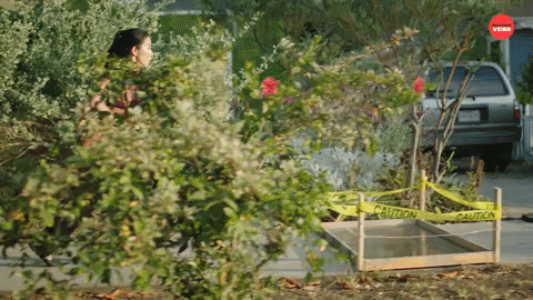 Real Life Summer Games GIF by BuzzFeed