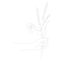 Bouquet Lavender Sticker by La Maison Lavande