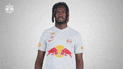 Football No GIF by FC Red Bull Salzburg