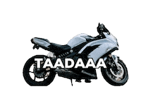 Groover Sticker