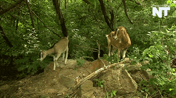 capitol hill news GIF by NowThis 