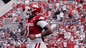 Ncaa Football GIF by Arkansas Razorbacks