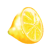 Summer Lemon Sticker by DeeBee's