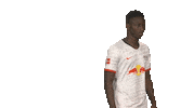 Posing Line Up Sticker by Bundesliga