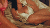 guccimane money cash migos gucci mane GIF