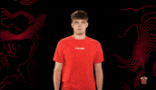 Not Me Idk GIF by Tribe Gaming