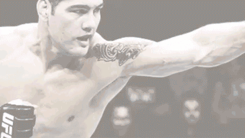 Mma GIF by UFC