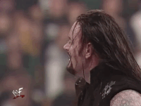 wrestlemania xiv wrestling GIF by WWE