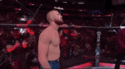 Mixed Martial Arts Sport GIF by UFC