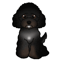 Doodle Goldendoodle Sticker by zoopeez