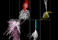 GIF by A.M.T.G. G.G.