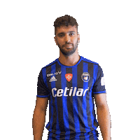 Pisa Celebrating Sticker by 21BE