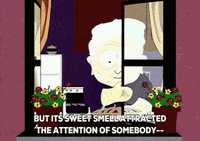 bebe stevens window GIF by South Park 