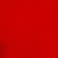 Posing Whats Up GIF by Bayer 04 Leverkusen