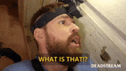 What Confused GIF by Deadstream