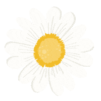 Flower Spring Sticker