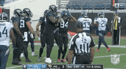 Regular Season Football GIF by NFL