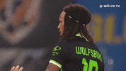 Football Fuck Off GIF by VfL Wolfsburg