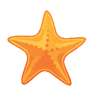 travel star Sticker by Travelocity Roaming Gnome