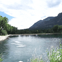 Colorado Springs Travel GIF by The Broadmoor