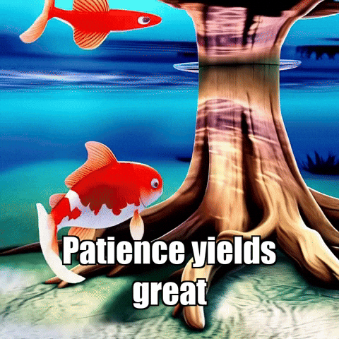 Wisdom Patience GIF by TheConfishius