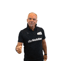 swisshandball_official yes you want there you go Sticker