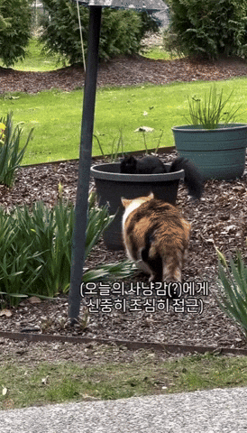 uuusssuuu giphyupload GIF