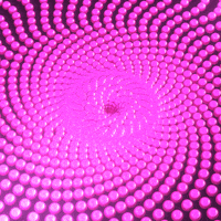 Loop Emerge GIF by xponentialdesign