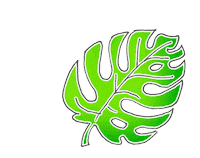 littlemissun travel nature green leaf Sticker