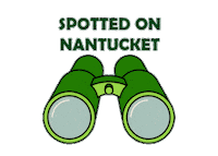 Binoculars Nantucket Sticker by Linda Loring Nature Foundation