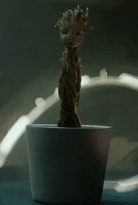 baby GIF