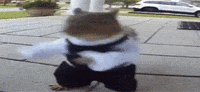 Dance 7Tv GIF