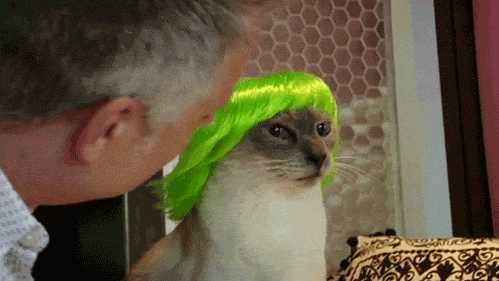 animals in wigs GIF by Fusion