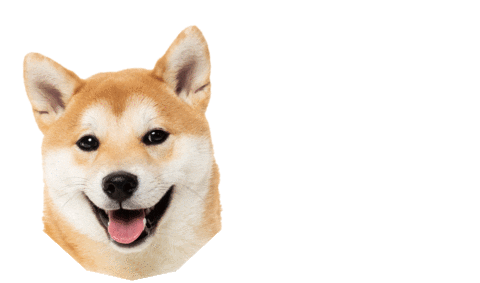 FuzzYard giphyupload fuzzyard Sticker