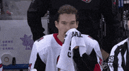 happy ice hockey GIF by NHL