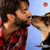 Dogs International Dog Day GIF by BuzzFeed