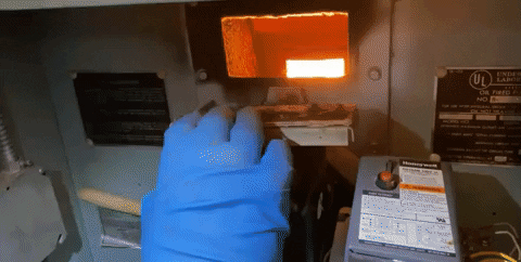 RICtoday giphygifmaker GIF