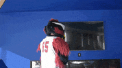 great gatsby cheers GIF
