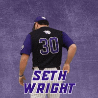 Baseball Wesleyan GIF by KWC Panthers